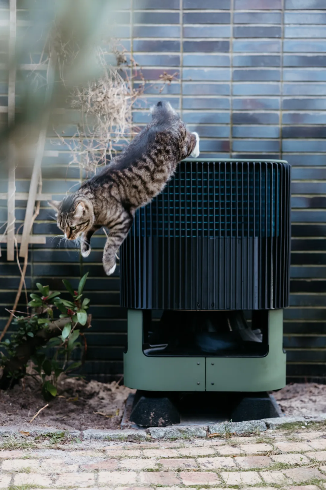 Een kat springt van de Whspr af, midden in een achtertuin